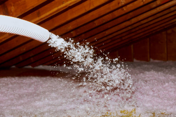 Best Commercial Insulation in Carlin, NV