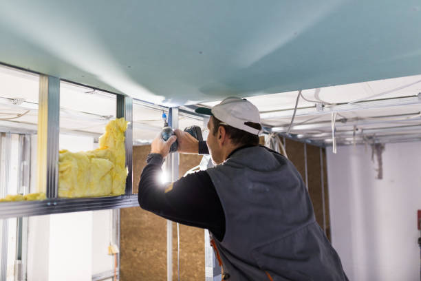 Best Insulation for Specific Applications in Carlin, NV