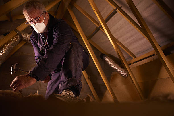 Best Insulation Materials and Products in Carlin, NV